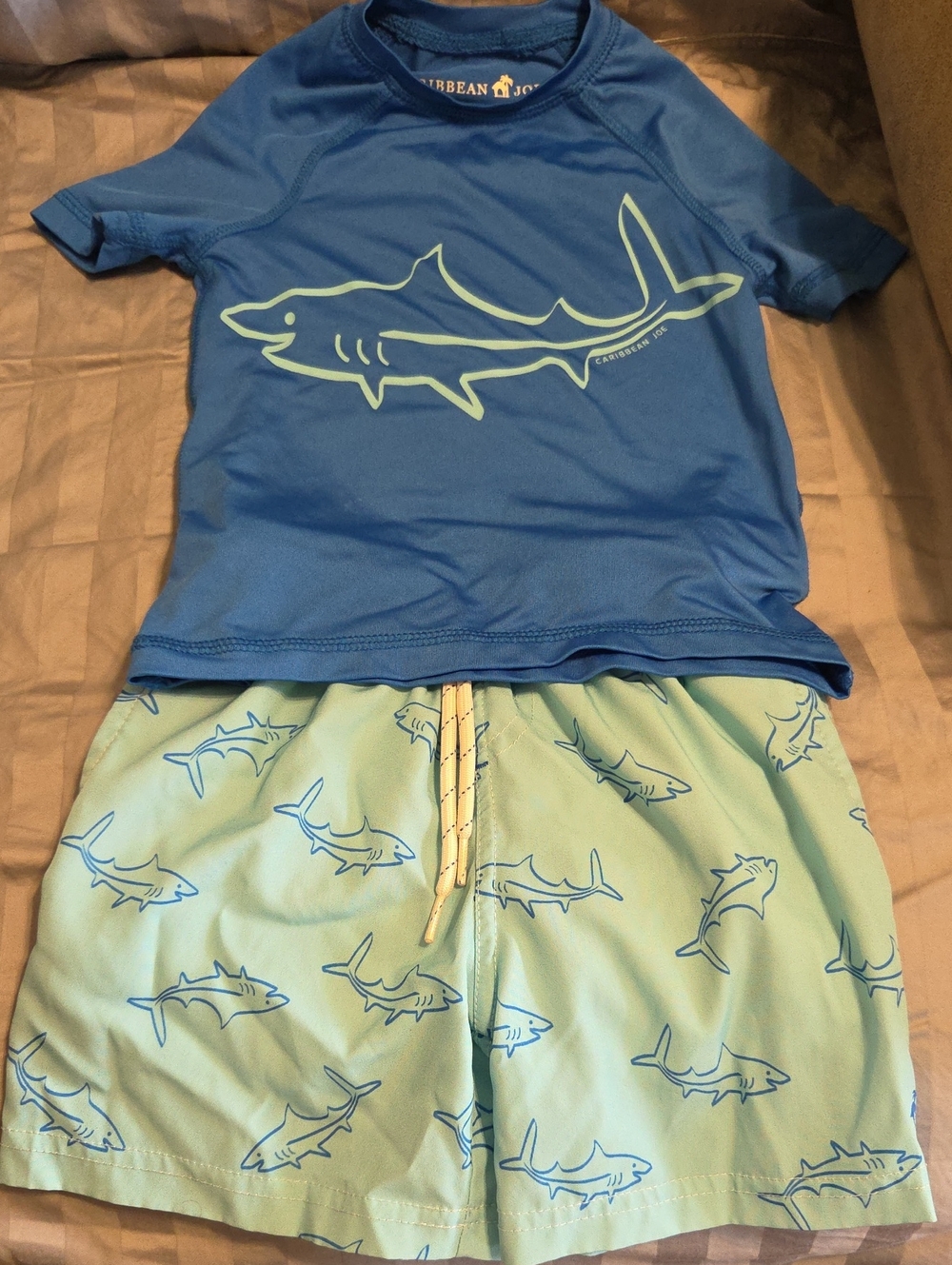 Caribbean Joe Blue and Mint Shark Boys Swim Set